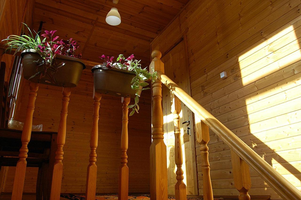 Badishi Guesthouse Mestia Exterior photo